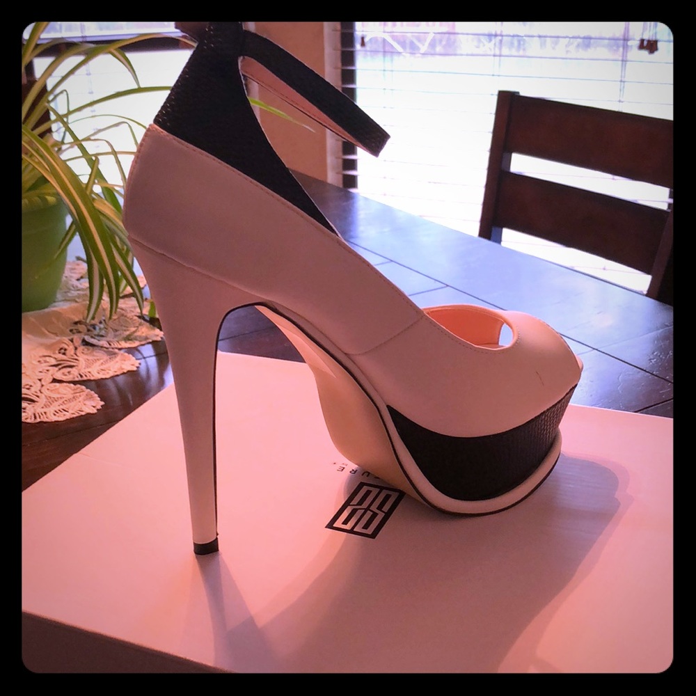 Platform pump, new